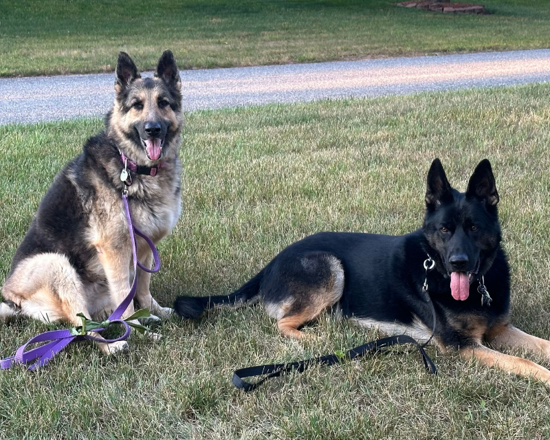 Apollo and Kia, The Matchmakers