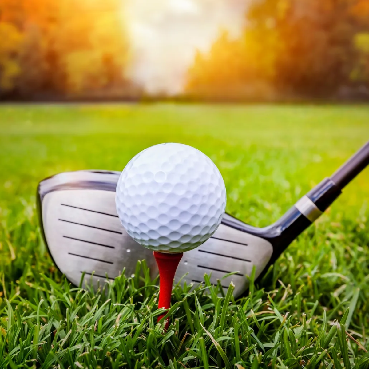 Golf Membership photo 1