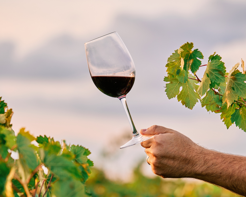 Planning and Hosting a Wine Tasting